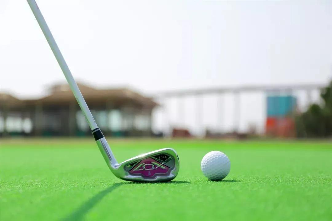 初夏去花海好玩吗,初夏去海边好玩吗