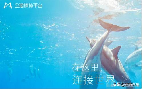 短视频运营干货:5种吸粉*法大**,让你的粉丝更值钱