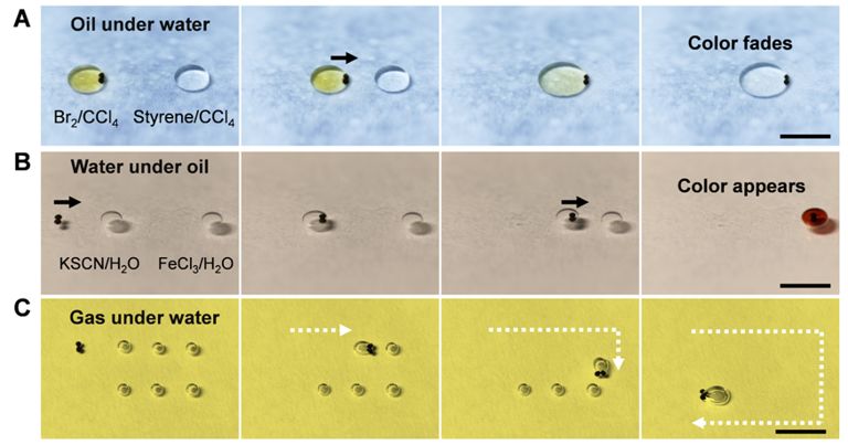 生物化学实验设计与实践,生物化学实验常用的技术