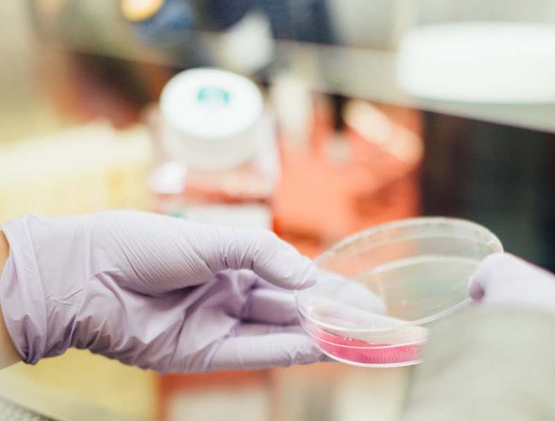 干扰素治疗乙肝一年费用多少,最新乙肝治疗指南全文