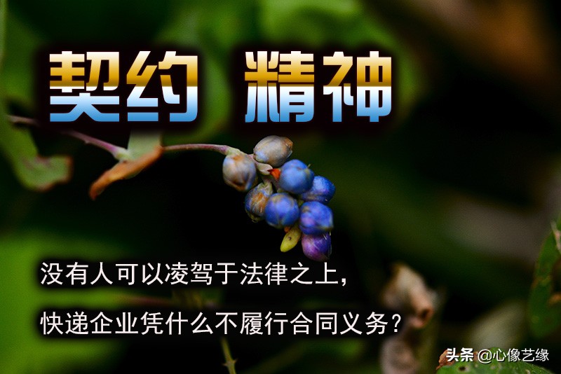 快递投诉最有用的方法是什么,快递投诉最快最有效的方法