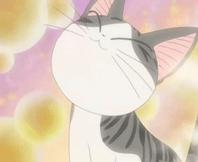 19块钱吃食堂,19.9元的快餐随便吃