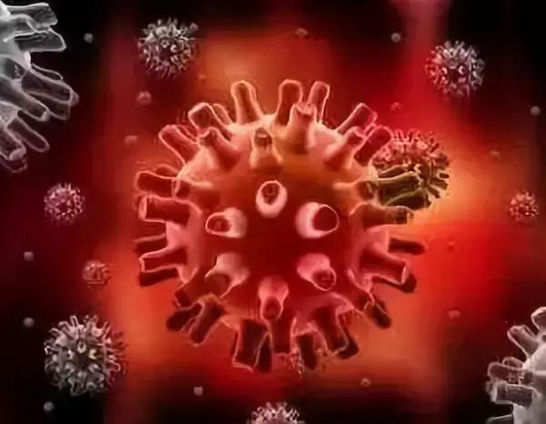 hpvhivhsv分别是啥病毒,hsvhpv