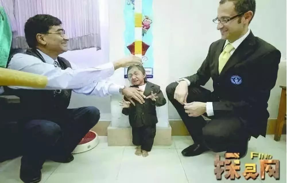 真实存在的世界十大怪,世界十大怪