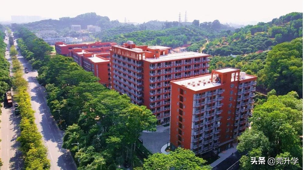 东华松山湖高级中学多少分录取,东华松山湖高级中学2023招生简章