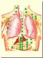 哪个穴位是美容穴,天突穴准确位置丰胸
