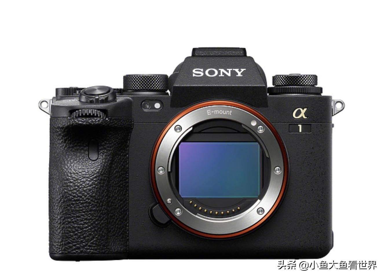 eosr与a7r3怎么样选择,索尼a7r3a和a7r3拍照对比