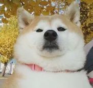 淘宝未通过资质校验,淘宝不能查看资质的原因