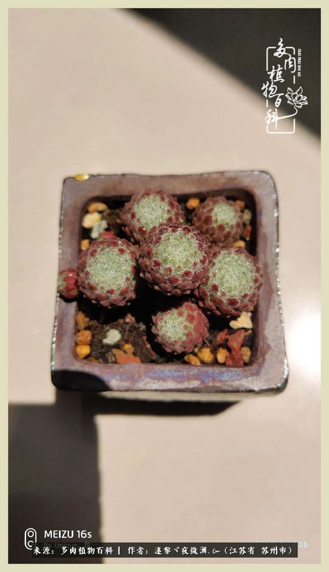 秋尽冬来岁月不居时节如流,岁月不居时节如流水