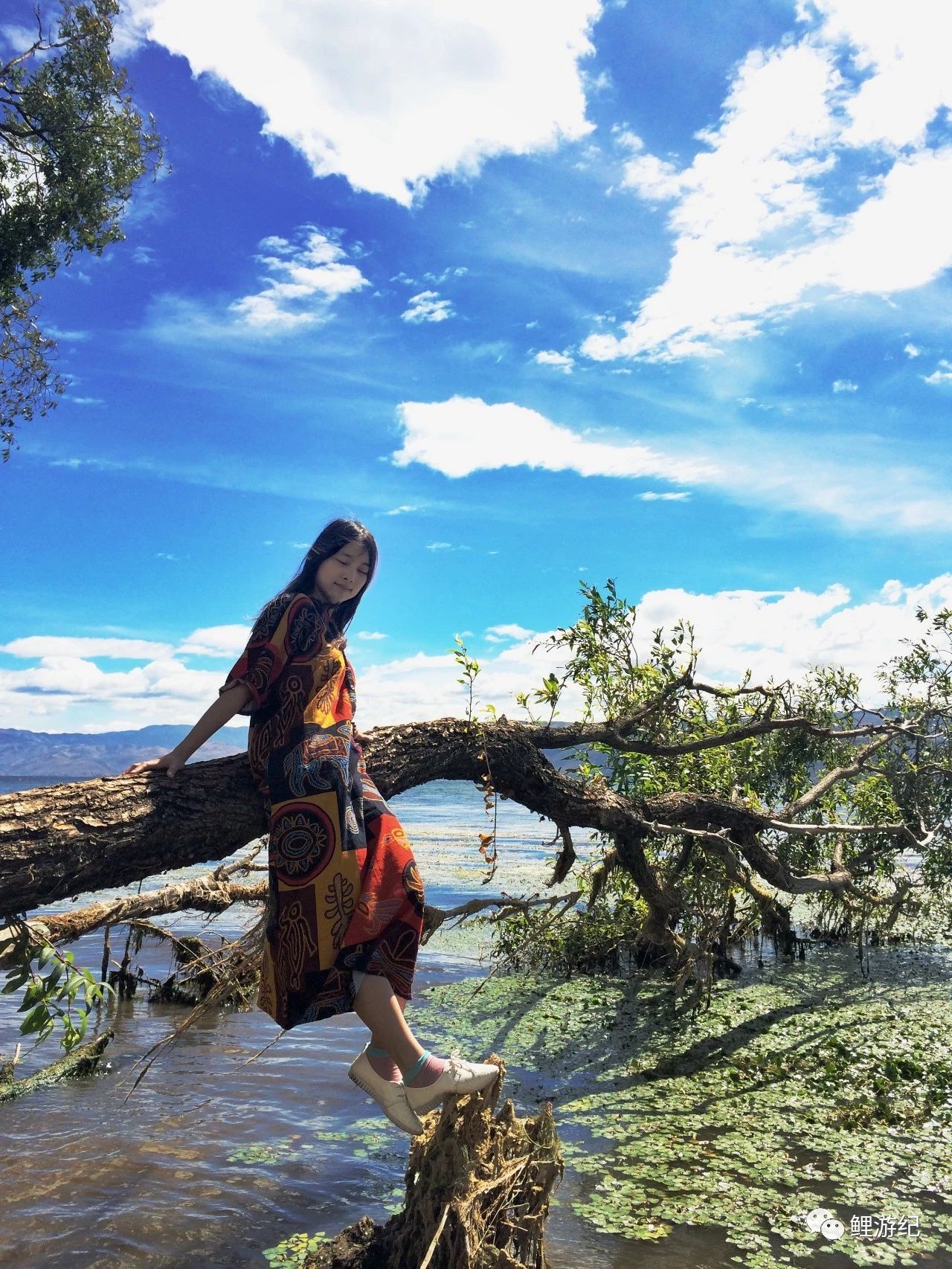 环海公路好看的图片,西南风景图片横图