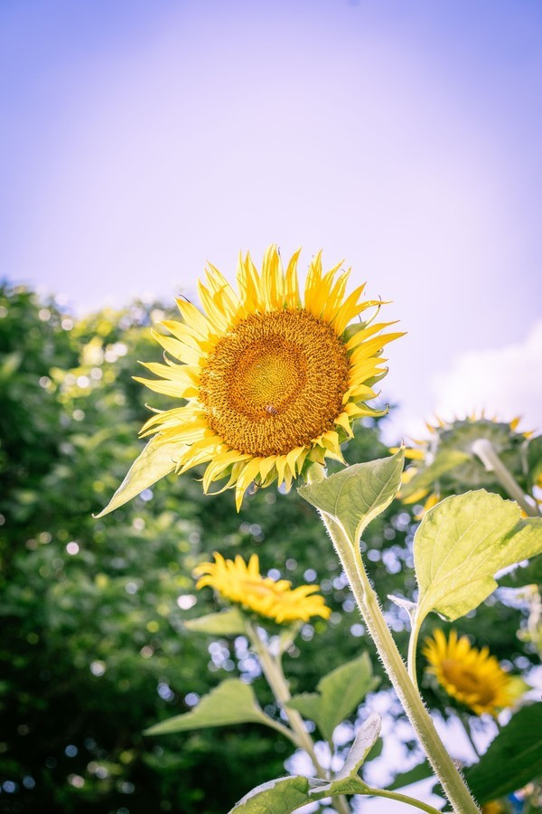 广州南沙最美风景区,南沙湾区超美风景线