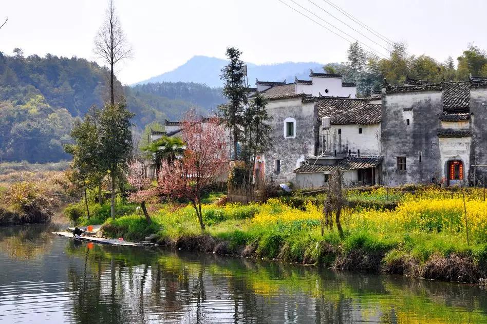 安徽春天美丽的视频,安徽美丽的春天