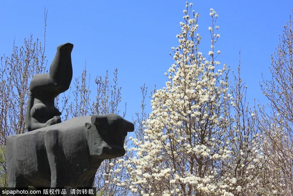 藏不住了!北京这些地方即将美出天际,你居然不知道?