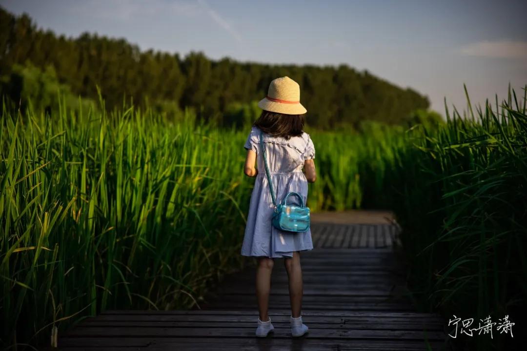 旅行买什么相机最好,外出旅行买什么样的相机好