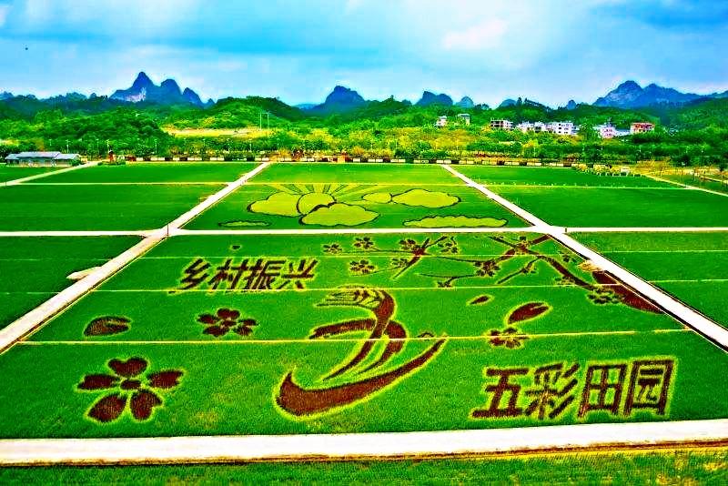 2020名村影响力排行:广西4个村落上榜,桂平上国村多次入选