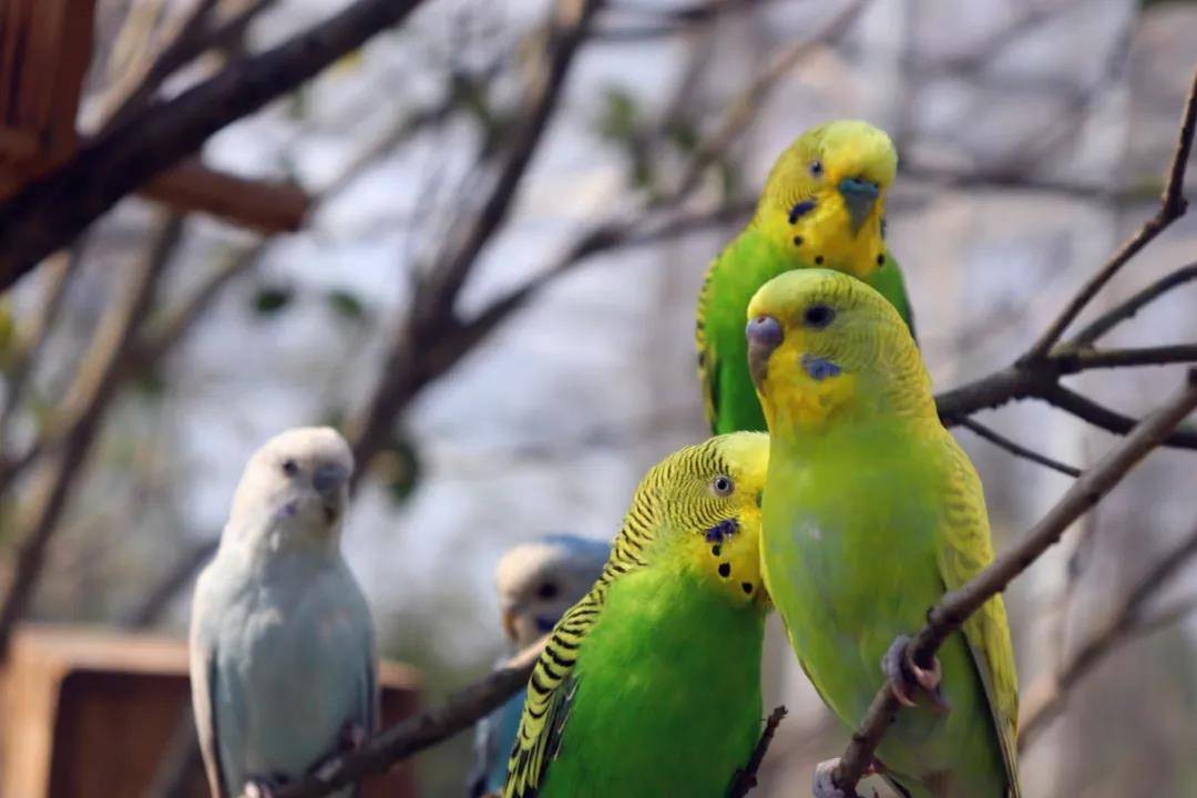 清远森波拉温泉奇妙世界,清远森波拉温泉旅游攻略