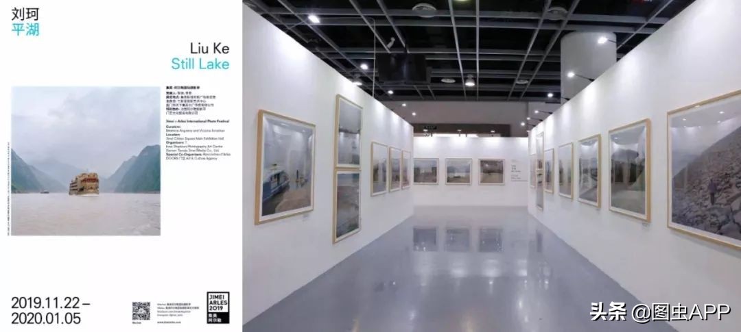 图虫opensealab摄影,图虫看动物世界系列