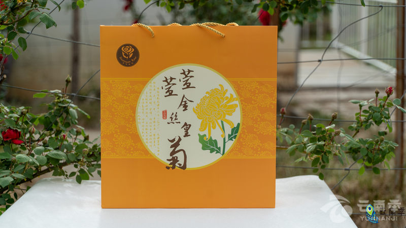 疫情宅家之宝：清热降火、舒肝明目一朵花就能泡一壶茶