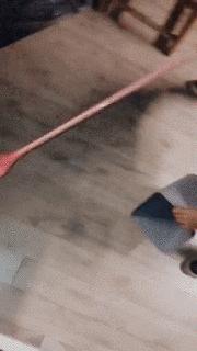 搞笑动图gif图片,搞笑动图gif图片合集