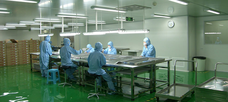 山东小伙靠养鹌鹑致富,农村大哥返乡创业养500只鸡