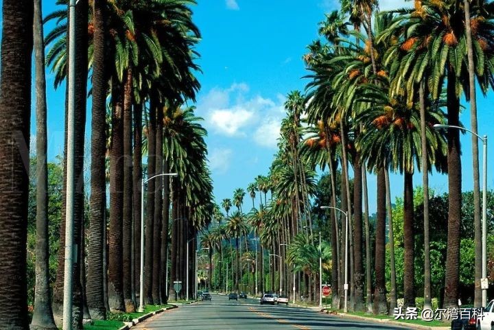 美国房产洛杉矶,美国洛杉矶比佛利房产