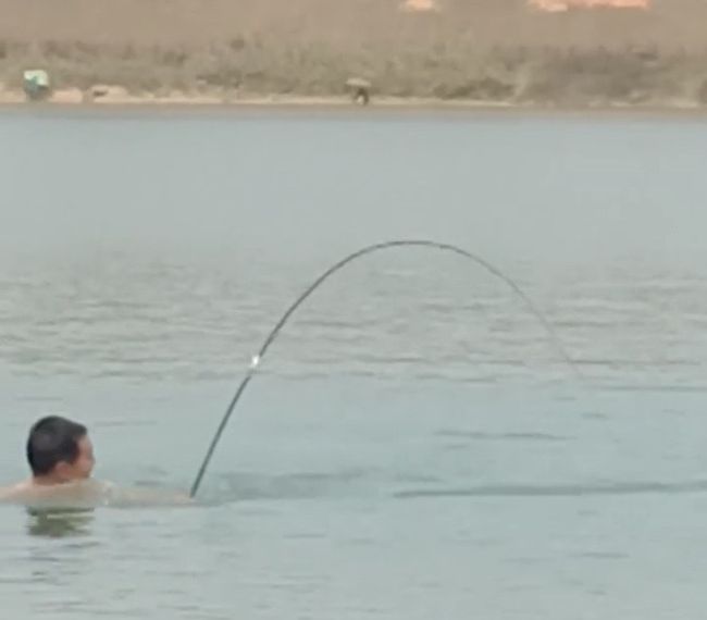 闽南鱼王500斤的大青鱼,中国淡水青鱼最大鱼王