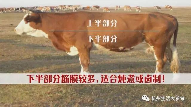 零失败的牛排,今天教你如何正确选择好吃的牛排