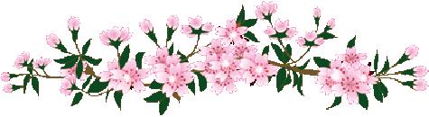 小学英语听力训练每日一听,小学英语每日听读训练免费