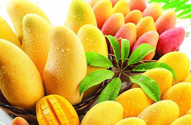 芒果内部发黑是不是坏了,芒果发黑腐烂是怎么回事