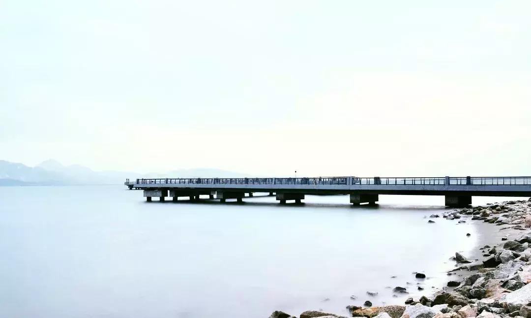 深圳湾公园这里有什么好吃的,深圳湾在哪里