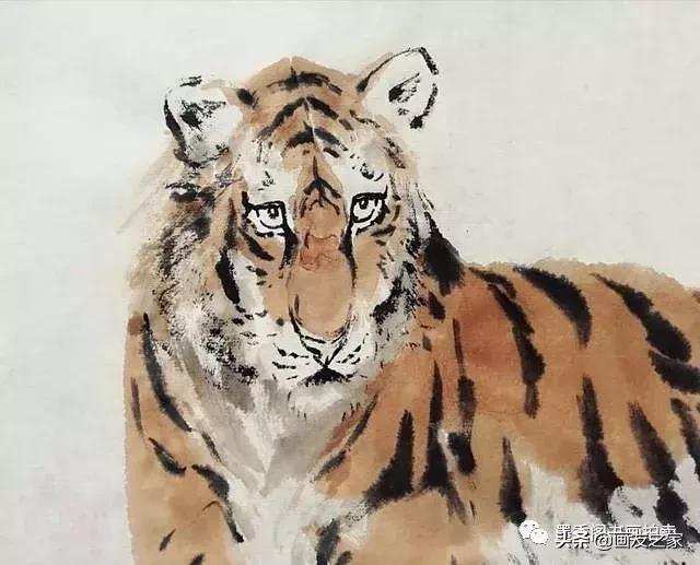 蔡育贤写意老虎的画法,写意老虎画法教学视频