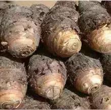 青岛西海岸30多项特产！这鱼还登上央视成了网红