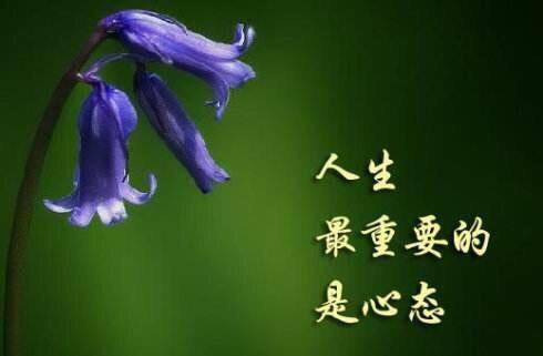 5个办法让你忍住暴脾气,教你五招让你戒掉坏脾气