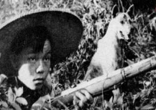 湖南老虎围攻村子事件,湖南奇人打死500多只老虎