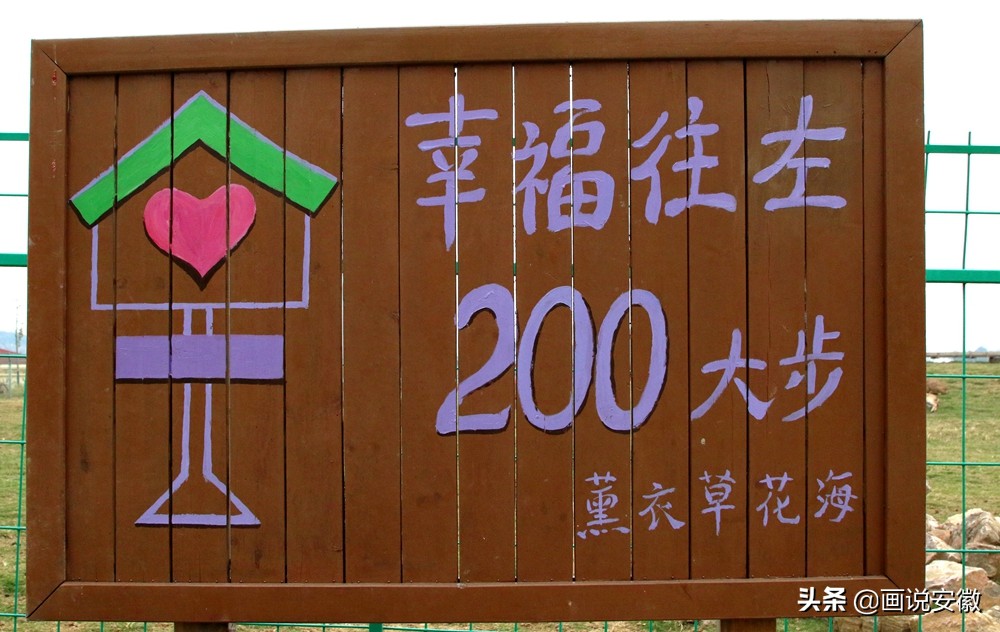 蚌埠禾泉小镇花海门票,游禾泉小镇