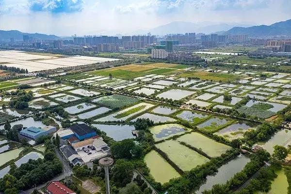 杭州西湖足球场,杭州富阳免费足球场