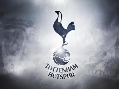 欧洲十大豪门俱乐部身价,欧洲五大联赛身价排行榜