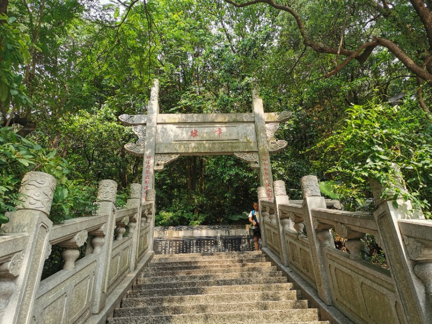 东莞长安周边一日游景点大全,东莞松山湖一日游最佳攻略