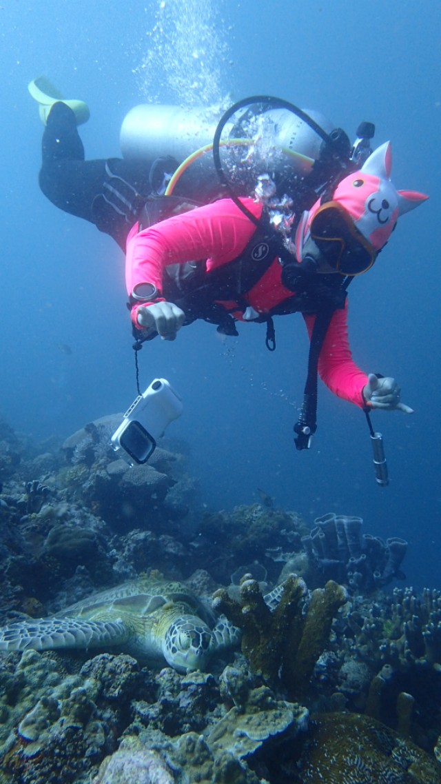 斯米兰船宿两天一夜不潜水,斯米兰住宿攻略