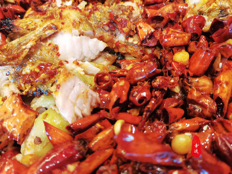 吃烤鱼有哪几种不辣的口味,烤鱼不辣的有几种口味