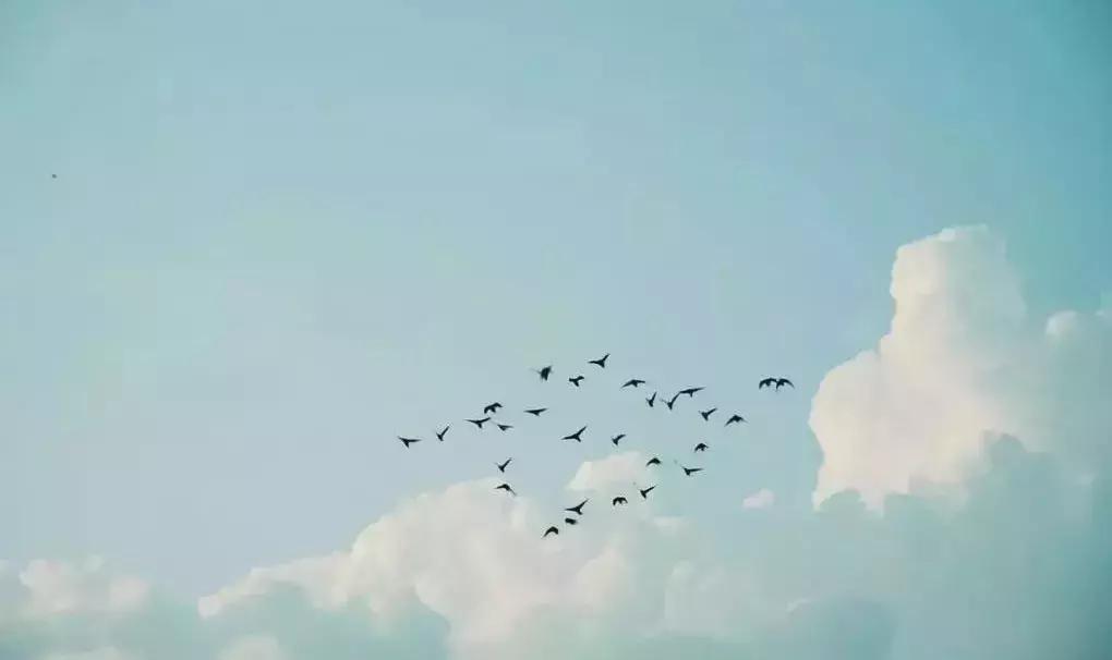 阳气发于什么穴位,中医认为人体阳气的根在肾