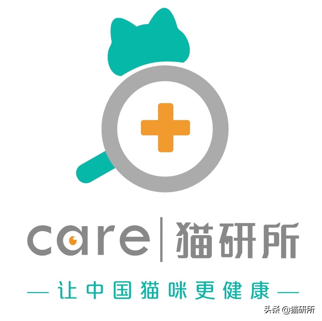 猫咪怕人不让抱怎么培养感情,猫咪长大了特别怕人怎么训练