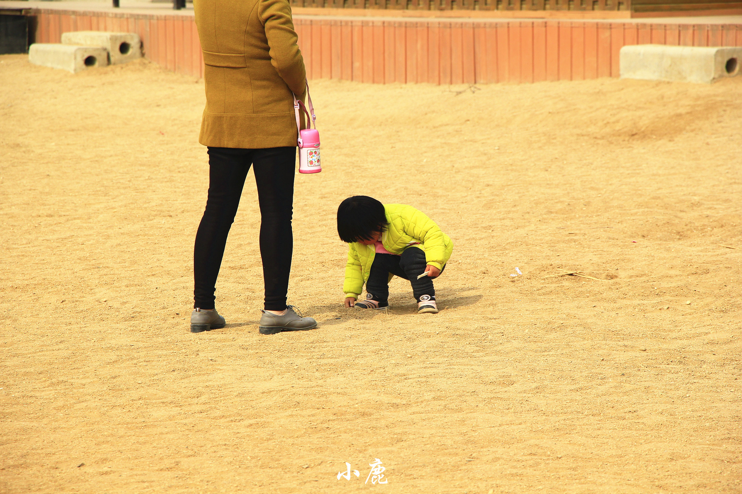 河南看海的地方旅游景点,河南看海旅游景点推荐