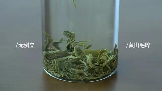 会倒立的才是好绿茶？我们给你做了这个实验