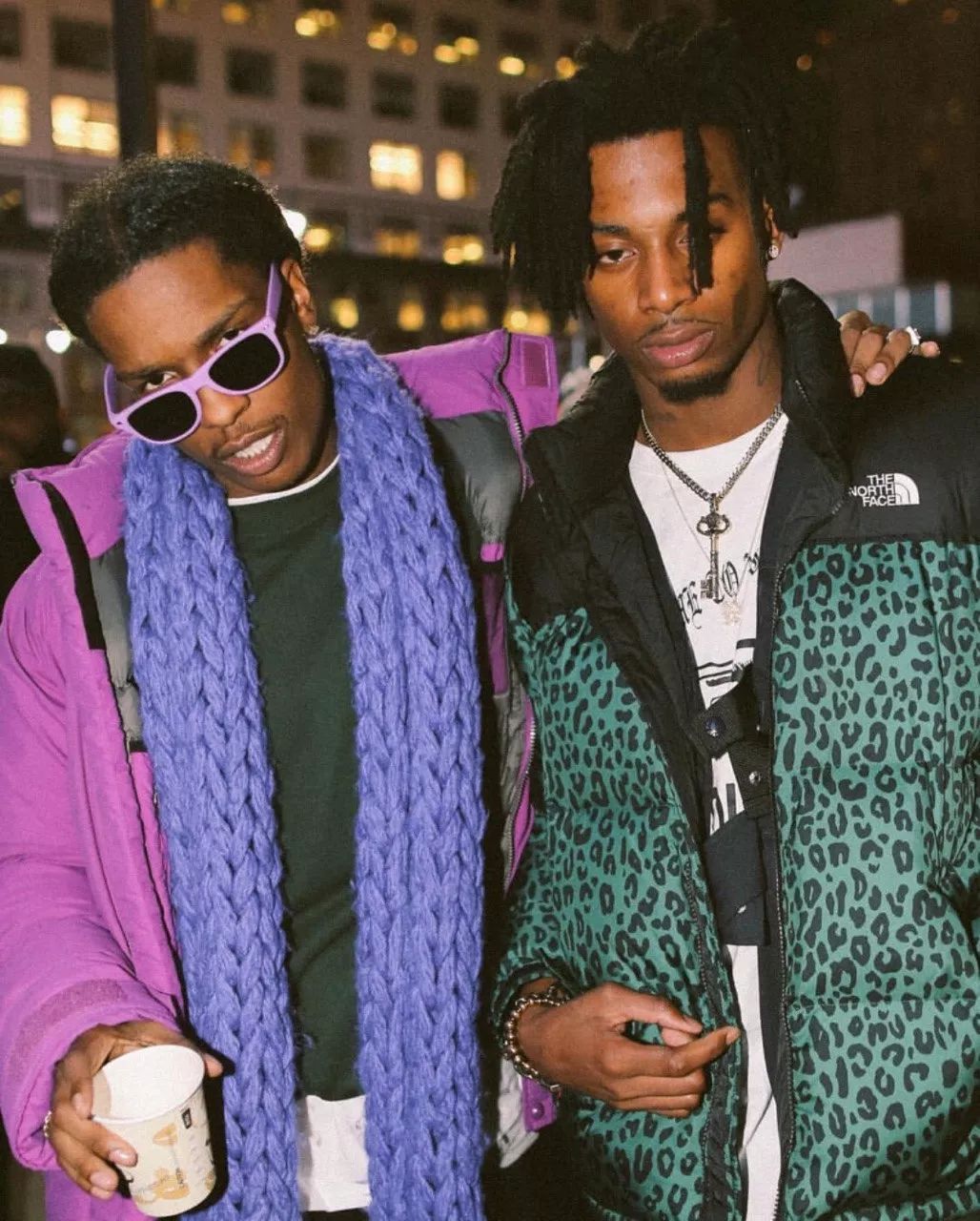 thenorthface真假辨别,thenorthface哪个好看