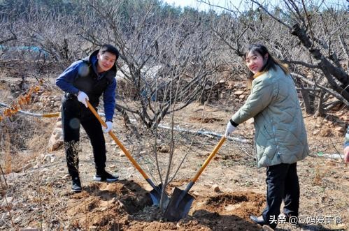 过生日要过阴历生日还是阳历生日,过生日阳历和阴历同一天几率大吗