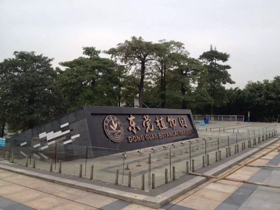 深圳自驾游十大免费景点推荐,重庆到深圳自驾游景点