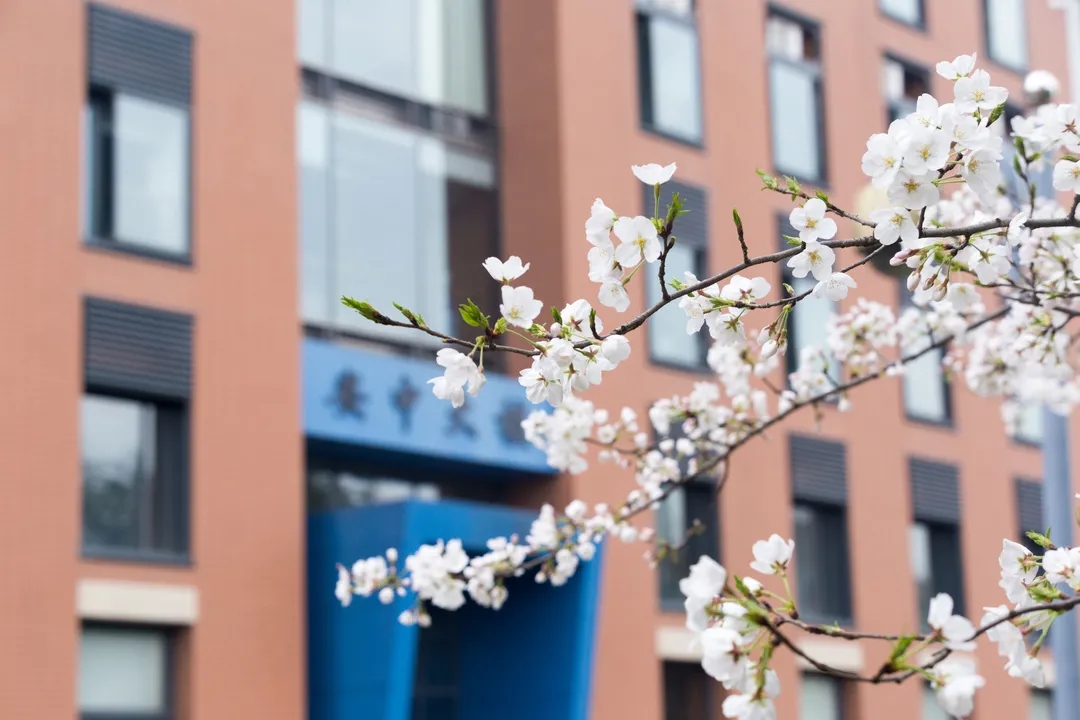 复旦大学ppt模板下载,浙江大学极简ppt模板