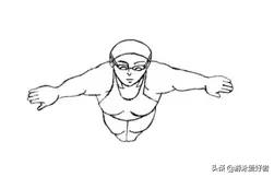 蛙泳技巧,蛙泳拖板技巧