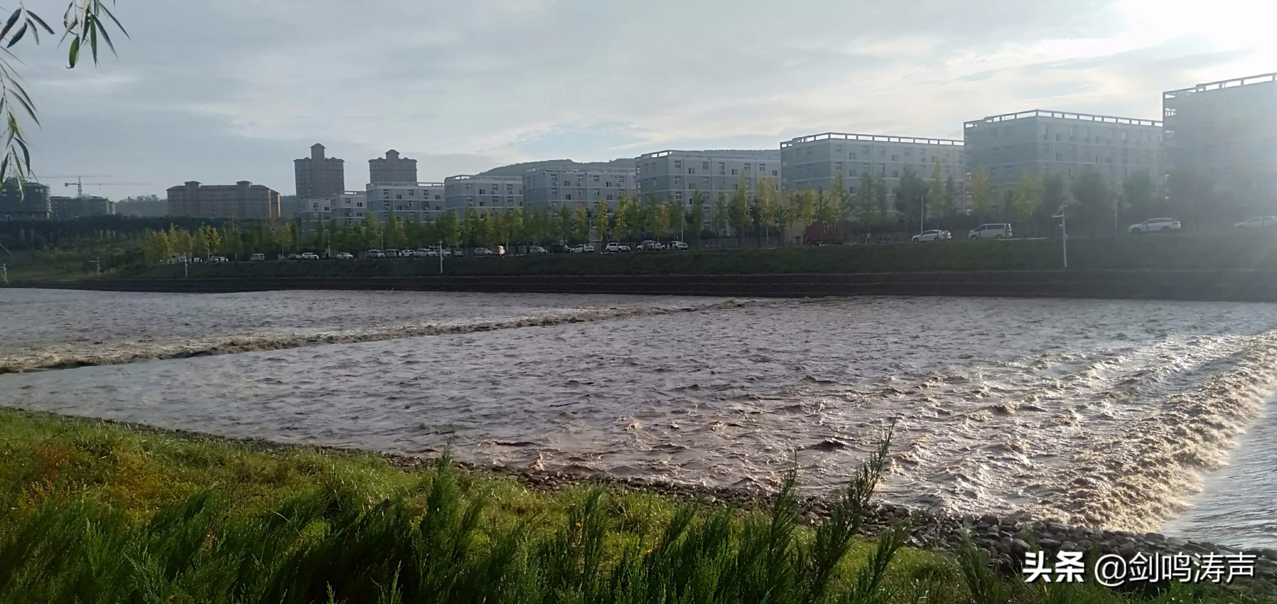 狗急跳墙不承认姚策DNA，会有什么后果